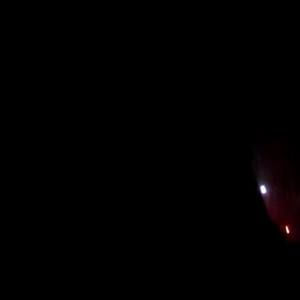 Meet your Posher, Adalberto